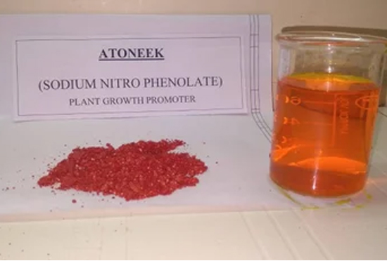 Sodium Nitro Phenolet
